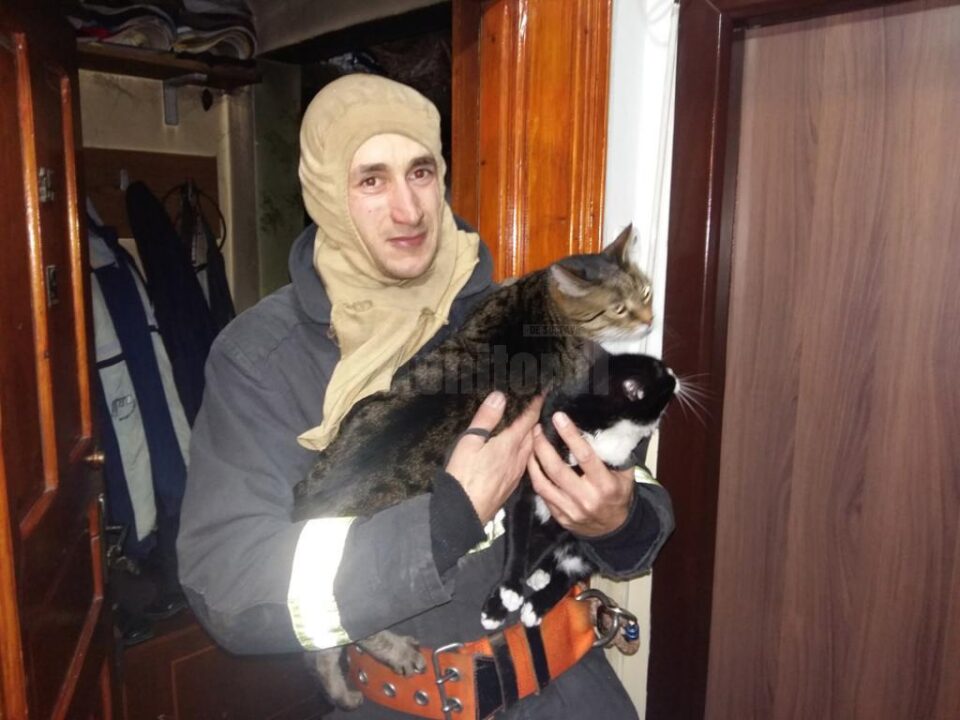 La rugămintea bărbatului, pompierii au scos din apartamentul inundat de fum și gaze toxice cele două pisici ale acestuia, rămase într-o cameră