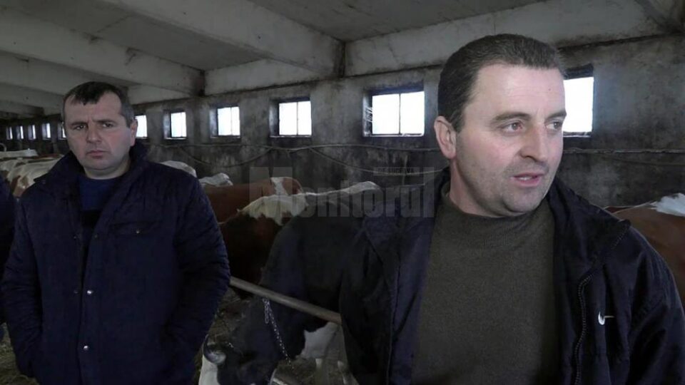 Doi dintre fermierii care au de primit restanțe de la firma Alpina Blue Chesse SRL Vadu Moldovei Doi dintre fermierii care au de primit restanțe de la firma Alpina Blue Chesse SRL Vadu Moldovei