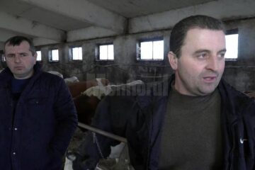 Doi dintre fermierii care au de primit restanțe de la firma Alpina Blue Chesse SRL Vadu Moldovei