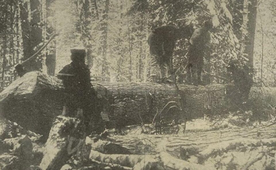 „Brigada de țapinari”