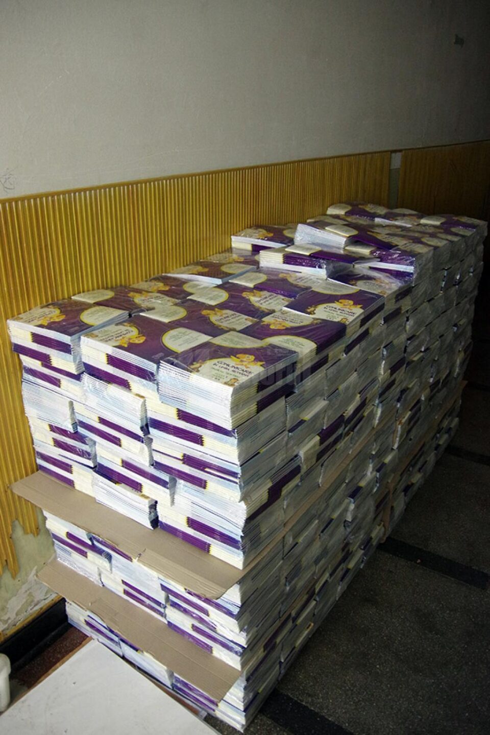 Elevii învață după manuale cu o programă realizată în urmă cu 10 ani