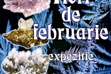 Expoziția Flori de februarie