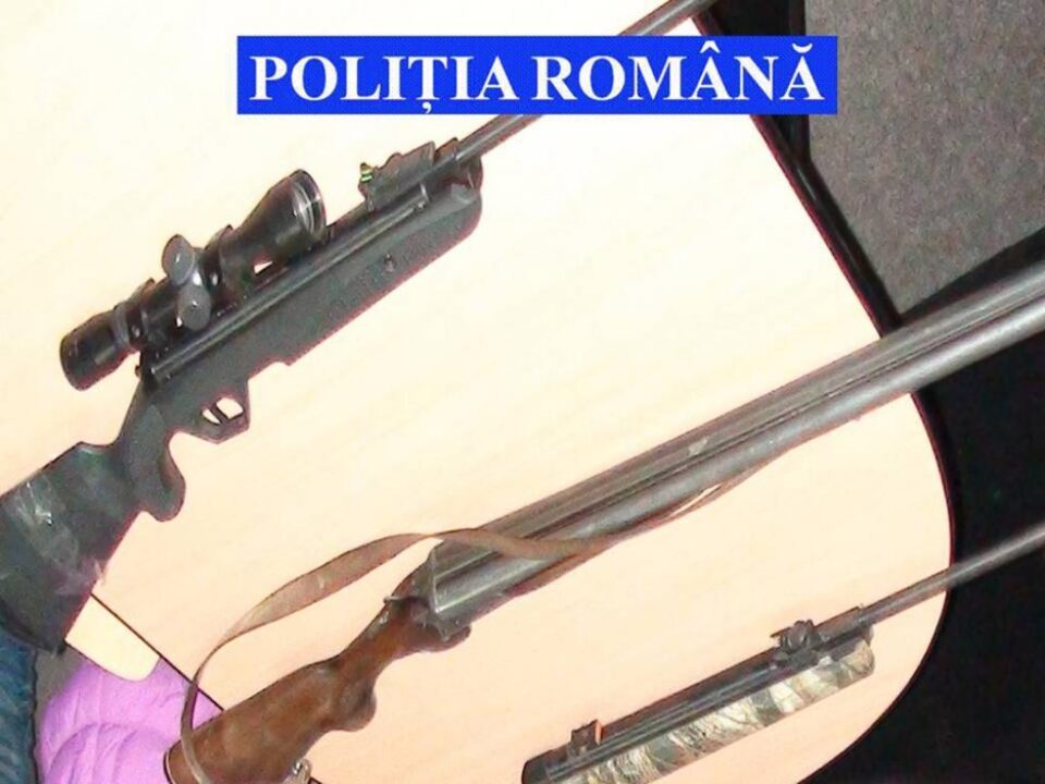 Două arme cu aer comprimat, neletale, ridicate din locuința bărbatului din Hârtop