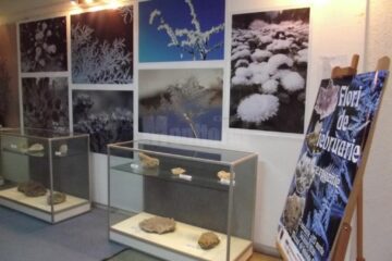 Expoziția „Flori de februarie”