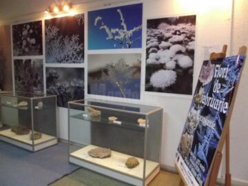 Expoziția „Flori de februarie”