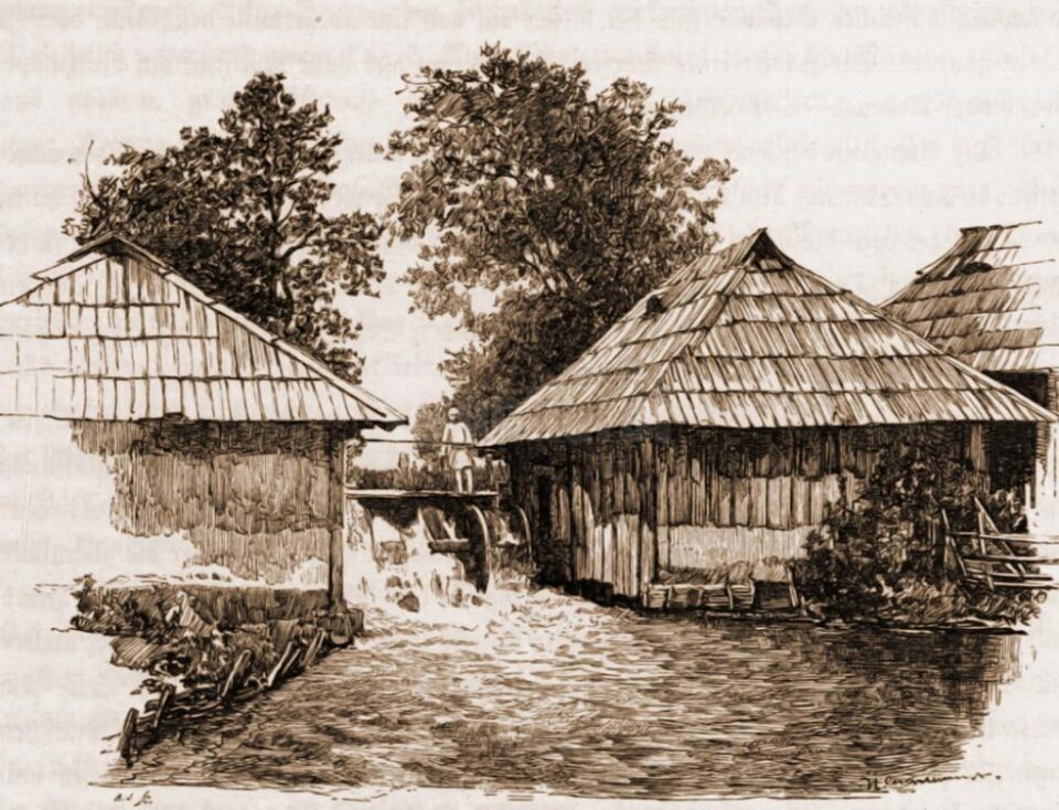 Piuă de țesut sumane – desen de Mattias Adolf Charlemont (1820-1871)