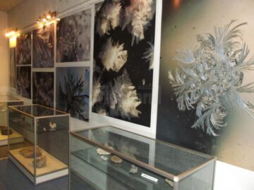 Expoziția „Flori de februarie”