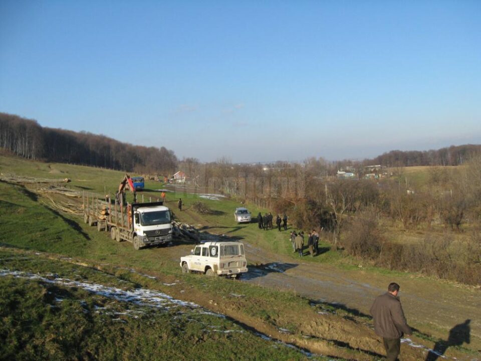 Direcția Silvică Suceava oferă la licitație din fondul forestier proprietate publică a statului un volum brut de 505.651 de metri cubi de masă lemnoasă Direcția Silvică Suceava oferă la licitație din fondul forestier proprietate publică a statului un volum brut de 505.651 de metri cubi de masă lemnoasă