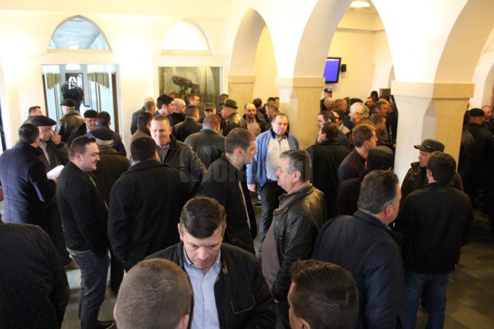 Concurență crâncenă la cea mai mare licitație intermediară a Direcției Silvice Suceava