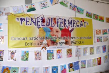 „Penelul Fermecat” faza zonală Fălticeni