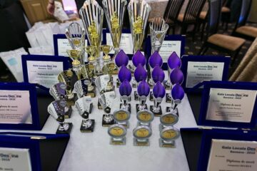 Excelența și performanța, premiate la Gala Locală a Destine Broker de Asigurare Suceava