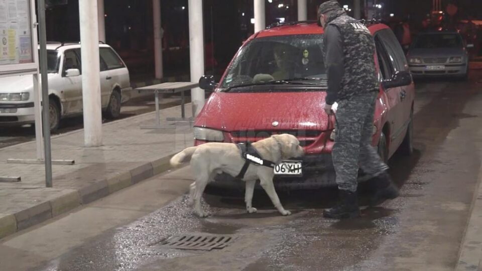 Vameșii au folosit câini special antrenați pentru depistarea tutunului ascuns în mașini
