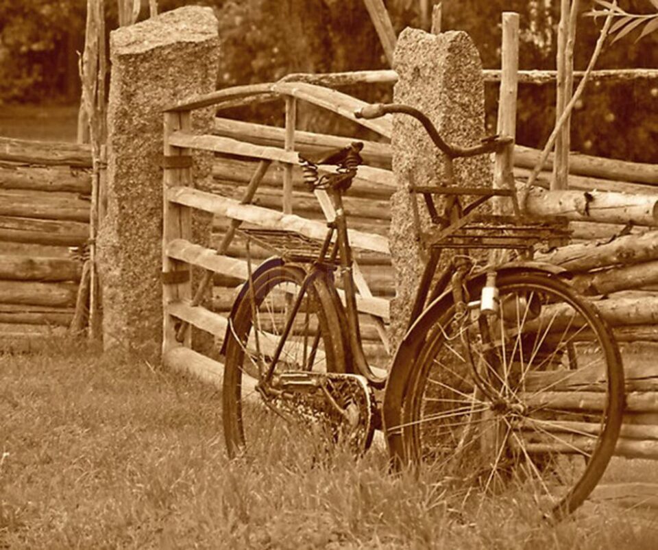 O „dihanie” pe uliță... O „dihanie” pe uliță...