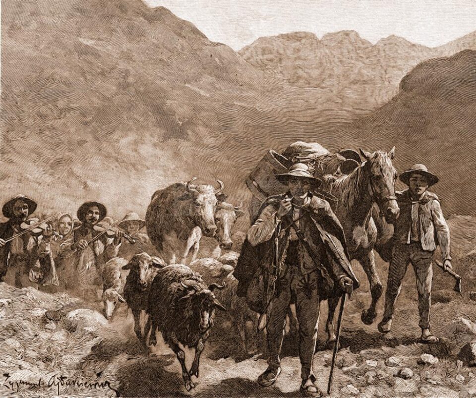 Sâmbra oilor – desen de Zygmund