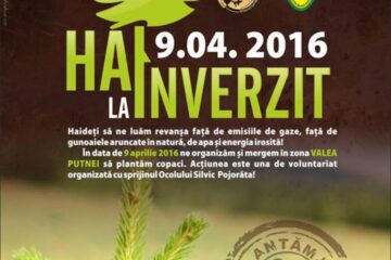 Campanie de reîmpădurire în zona Valea Putnei
