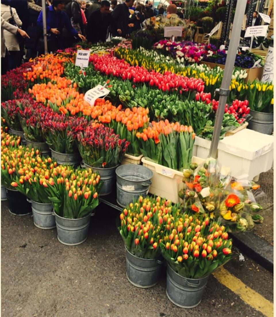 „O florărie la Suceava”