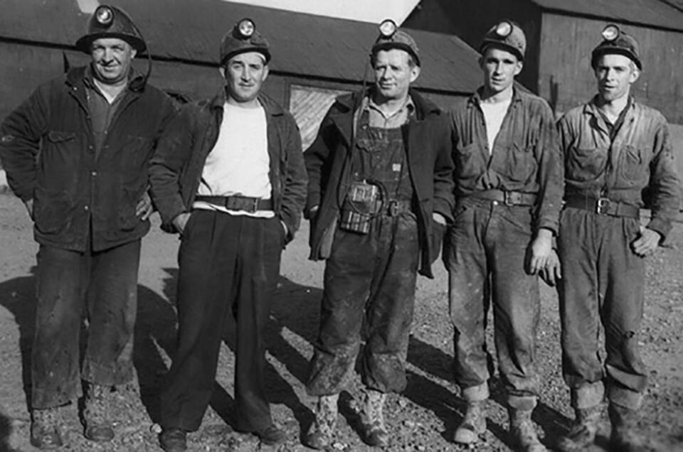 „Minerii suceveni” „Minerii suceveni”