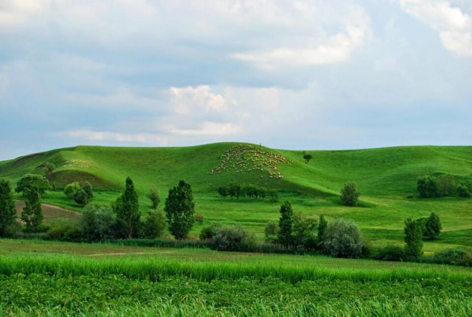 Fânețele Seculare Ponoare
