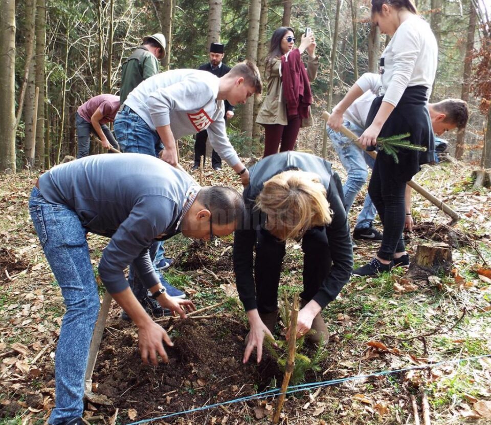 „Prietenii Naturii” la Cantonul Silvic Bahrina