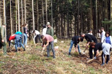 „Prietenii Naturii” la Cantonul Silvic Bahrina