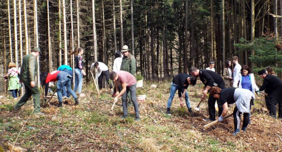 „Prietenii Naturii” la Cantonul Silvic Bahrina