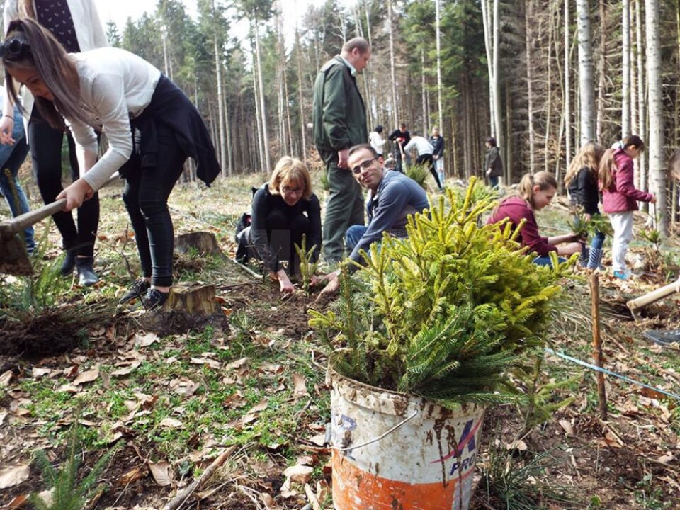 „Prietenii Naturii” la Cantonul Silvic Bahrina