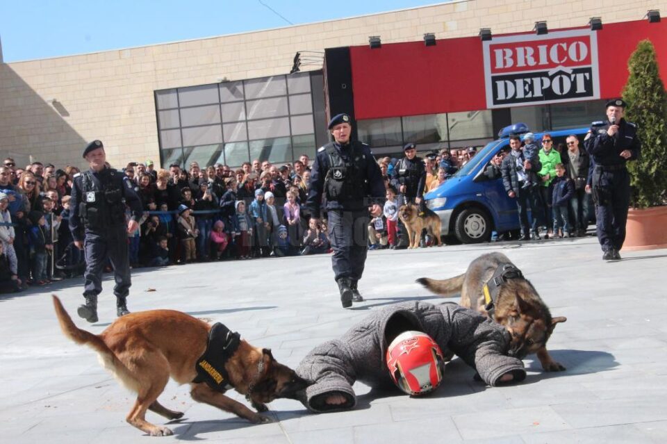 Demonstrații de luptă și exerciții cu câini dresați, printre acțiunile organizate cu ocazia Zilei Jandarmeriei