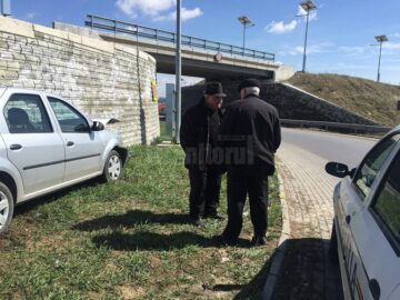 A „mușcat” un scuar și a intrat în Zidul Morții