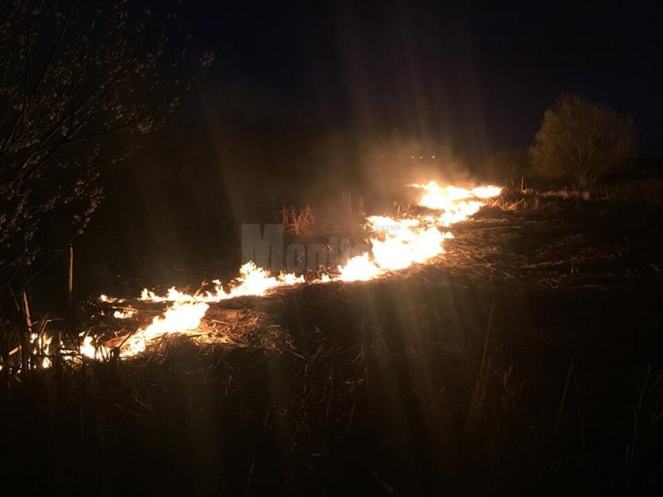 O persoană încă neidentificată a dat foc stufărișului de pe marginea fostelor iazuri de agrement din apropiere de Metro