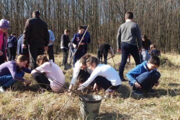 Acțiune de plantare cu elevii Școlii Nr. 4 Suceava