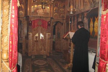 Să ne cercetăm mai atent conștiința