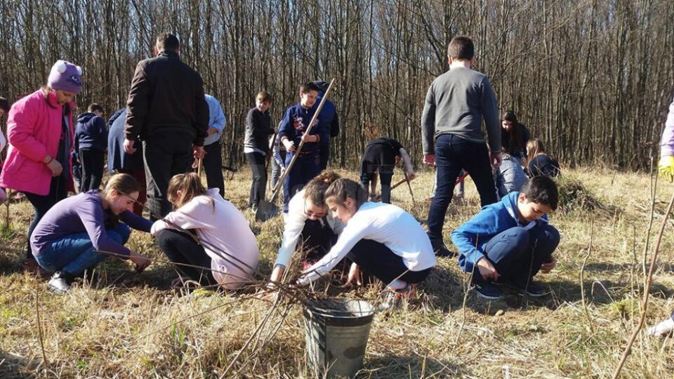 Elevii din Patrula Eco