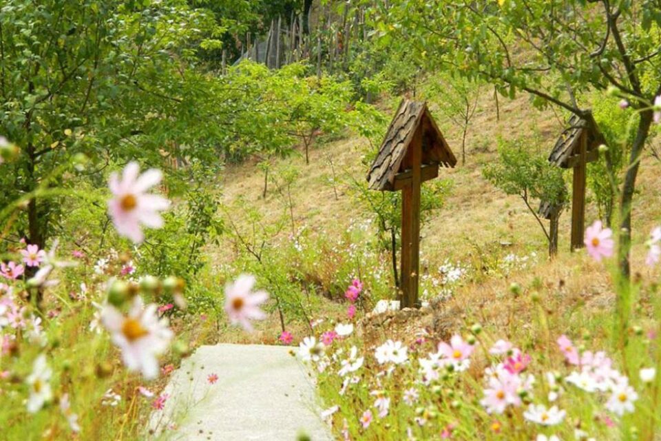 Sfânta Cruce. Foto: Doxologia.ro