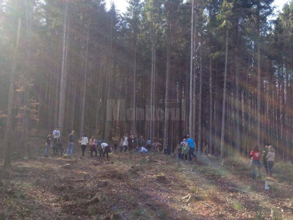 Elevi de la Palatul Copiilor au plantat puieți la Ilișești