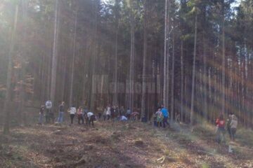 Elevi de la Palatul Copiilor au plantat puieți la Ilișești