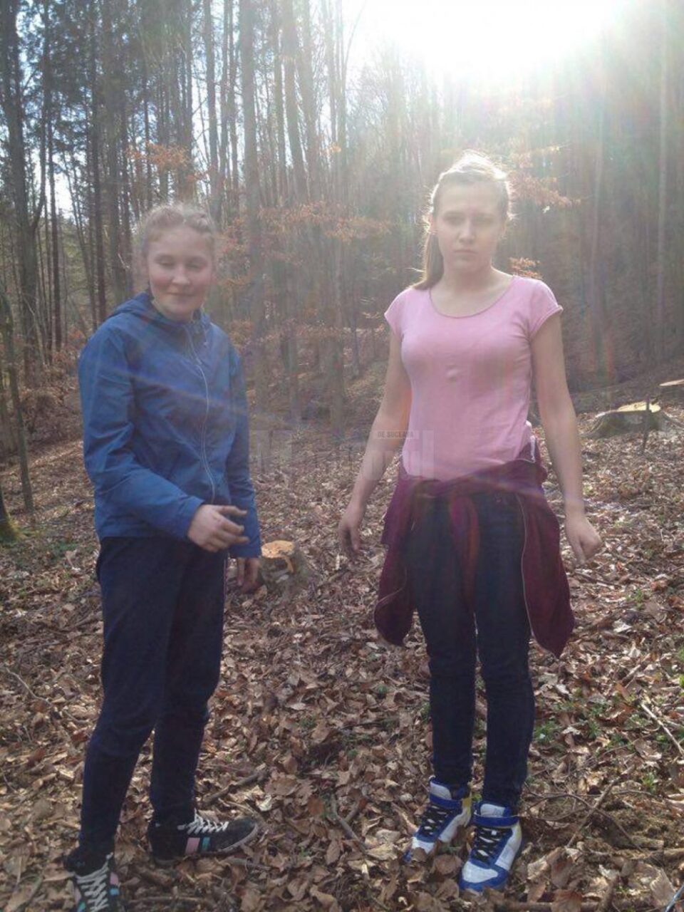 Elevi de la Palatul Copiilor au plantat puieți la Ilișești