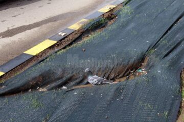 La Km 0 al Sucevei, lângă parcarea subterană, spațiul verde a fost distrus de un ghiolban care a urcat cu mașina pe el