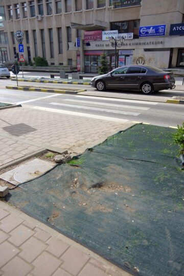 Spațiile verzi din Suceava, distruse de ghiolbani
