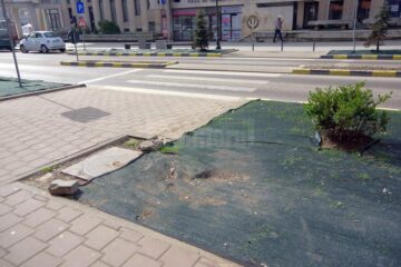 Gazonul din fața Casei de Cultură, distrus de cei care au mers pe spațiul verde în loc să circule pe trotuar