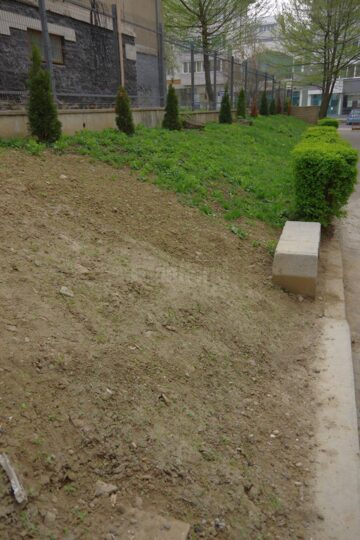 Colegiul „Ștefan cel Mare” a câștigat un proiect pentru amenajarea spațiului verde din curtea instituției