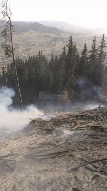 Un incendiu provocat intenționat, aproape să afecteze pădurea din zona Dorna Candrenilor