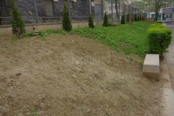 Colegiul „Ștefan cel Mare” a câștigat un proiect pentru amenajarea spațiului verde din curtea instituției