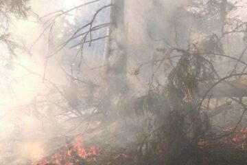 Incendiul a fost pe raza comunei Dorna Candrenilor