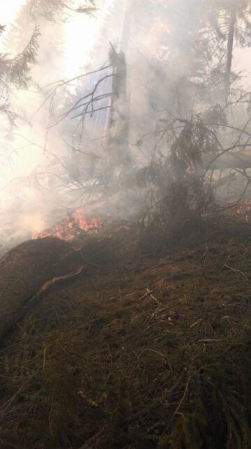 Incendiul a fost pe raza comunei Dorna Candrenilor