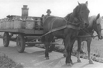 „Din calvarul cooperativei”