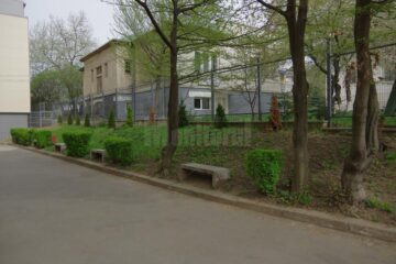 Colegiul „Ștefan cel Mare” a câștigat un proiect pentru amenajarea spațiului verde din curtea instituției