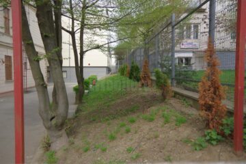 Colegiul „Ștefan cel Mare” a câștigat un proiect pentru amenajarea spațiului verde din curtea instituției