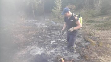 Flăcările au pârjolit aproape un hectar de vegetație și resturi forestiere
