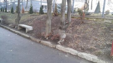 Colegiul „Ștefan cel Mare” a câștigat un proiect pentru amenajarea spațiului verde din curtea instituției