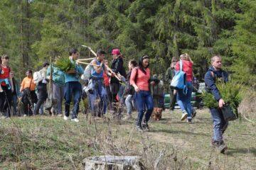 Voluntari din trei județe au plantat 12.000 de arbori la Valea Putnei